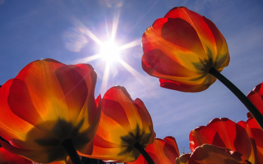 714047 (a): :2048x1280